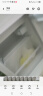 志高（CHIGO） 双门冰箱 家用电冰箱大容量双开门一级能效小型宿舍出租房办公室冷冻冷藏冰箱节能省电小冰箱 46L双门【一级能效】奶白色 实拍图