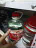 九江双蒸 豉香型白酒 29.5度浸泡酒5.1L 广东米酒浸泡青梅酒送礼白酒 实拍图