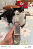 那非普 猫肤乐 猫沐浴露 猫咪黑下巴  清洁洗液200ml 实拍图