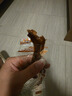 三只松鼠老卤鸭掌计量称重约500g卤香味鸭肉零食鸭爪熟食肉干肉脯线下热卖 实拍图