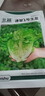 北蔬 生菜种子苗四季种生吃耐热耐抽薹菜籽 速翠1号生菜种子约5000粒 实拍图