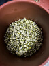 田园梦生豆芽机家用全自动紫砂豆芽罐豆芽发芽神器豆芽菜机陶瓷豆芽罐桶 大号紫砂豆芽罐（每年送麦饭石） 实拍图