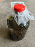 九江双蒸 米香型白酒 53度浸泡酒5.1L 米酒浸泡青梅药材养生酒送礼白酒 实拍图