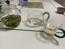 北大史（BEIDASHI）玻璃茶壶泡茶壶耐热玻璃彩把花茶壶绿茶壶玻璃壶功夫小茶壶单壶 H-11一壶一杯 400ml 实拍图