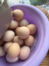 芮瑞 农家散养新鲜现捡鸡蛋笨鸡蛋谷物柴鸡蛋初生蛋 单枚40±5g 12枚 实拍图