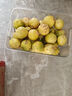 黄金百香果钦蜜9号大果孕妇新鲜当季鲜果妃多多 钦密9号百香果60-70g 整箱4.5斤 爆甜【产地直发】越皱越甜 实拍图