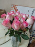 【玫瑰花】特价云南鲜花直发节日鲜花礼物花束水养插花七夕礼物 爱莎玫瑰10枝 实拍图