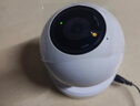 普联（TP-LINK）监控摄像头 室内家用高清无线看家宝 宠物监控器 360度全景旋转云台摄像机手机APP远程查看监控器 【单镜头|单画面】300万高清 16GB内存卡【免费升级32GB卡】 4mm 实拍图
