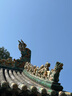锐捷（Ruijie）8口千兆交换机 RG-ES108GD 企业级铁壳非网管桌面型交换器分流器 办公家用宿舍即插即用分线器 实拍图