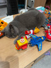喵仙儿猫抓板猫窝一体耐磨不掉屑猫爪板大号剑麻猫玩具猫沙发 实拍图