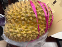 九阳（Joyoung）电火锅专用锅IH电磁加热2200W大火力多功能锅6L烤涮分体电炒锅电煮锅鸳鸯锅HG60-G3 实拍图