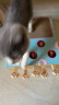 喵仙儿 猫咪玩具猫抓板自嗨四合一猫玩具打地鼠 实拍图