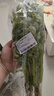 带根香菜100g 实拍图