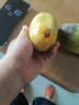 【双11抢购】玉芒芒果新鲜水果应当季生鲜 带箱4斤 大果【单果200-400g】 实拍图