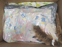 京东洗衣服务衣鞋任洗6件上门取送 干洗服务水洗去渍熨烫杀菌 实拍图
