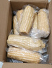 京鲜生东北白糯玉米250g*10棒 新鲜甜糯玉米棒真空包装粘玉米 源头直发 实拍图