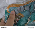 茨格曼狗绳牵引绳狗链子胸背带遛狗绳子中小型犬宠物用品 实拍图