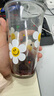 Glasslock&wigglewiggle联名款高颜值大容量玻璃水杯家用咖啡杯女夏季500ml 实拍图