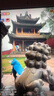 雨航（YUHANG）骑行成人电动电瓶摩托车单人雨衣男女式单人雨披大帽檐3XL蓝色 实拍图