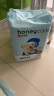 HONEYCARE好命家 宠物尿垫猫狗尿片 新手训导防漏尿布 厕所垫L码60*90cm 实拍图
