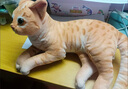 蓝诗诺小猫咪毛绒玩具仿真宠物玩偶动物模型儿童猫偶猫咪公仔送儿童礼物 橘猫【侧卧款】【长29厘米】 均码 实拍图