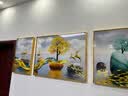 诗六艺家饰客厅装饰画北欧现代简约沙发背景墙挂画三联画大气轻奢壁画晶瓷画 富贵有余（铝合金外框） 晶瓷画左右40*60+中间80*60亮面 实拍图
