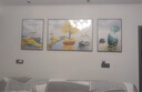 诗六艺家饰客厅装饰画北欧现代简约沙发背景墙挂画三联画大气轻奢壁画晶瓷画 富贵有余（铝合金外框） 晶瓷画左右50*70+中间100*70亮面 实拍图