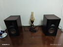 惠威（HiVi）D300有源HIFI音响【国家补贴】多媒体无线蓝牙5.0书架箱电脑电视家用桌面音箱等磁场带式高音喇叭 实拍图
