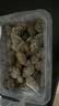 鲜京采【净化无沙贝】鲜活大花蛤500g/盒 实拍图