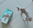 凯锐思天然猫粮成猫粮鱼肉蓝猫全价猫粮 【肠胃健康】 鱼肉味-20斤 实拍图