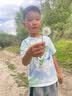 班尼路（Baleno）童装男童短袖T恤夏季中大童时髦扎染半袖衣服儿童百搭夏装上衣 实拍图
