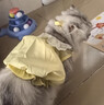 阿莫尔猫咪裙子夏季薄款猫咪衣服可爱粉色南瓜裙布偶蓝猫宠物狗狗公主裙 黄色 M 建议5-8斤  背长25cm 实拍图