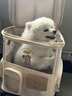 华元宠具（hoopet）猫包外出便携背包猫双肩包狗狗多猫拉杆宠物拉杆箱大容量行李箱 月光宝盒-拉杆包（带小熊包） 适合体重25斤内猫咪，10斤内狗狗 实拍图