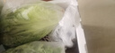 绿食者 新鲜蔬菜沙拉组合4斤 西餐色拉沙拉生菜轻食健身食材配菜 4斤【无沙拉酱】 实拍图