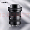 适马（SIGMA）18-50mm F2.8 DC DN｜Contemporary 半画幅微单 1850恒定大光圈标准变焦镜头 （富士X卡口） 实拍图