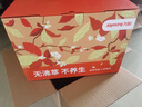 九阳（Joyoung）防溢沸萃家用养生壶迷你 一键低功率恒温水壶 0胶水轻音玻璃煮茶器 15WY1J(office) 礼赠彩包款 实拍图