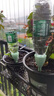 花沃里滴水器10只装（不含瓶) 自动浇花器渗水器滴灌懒人养花浇水神器 实拍图