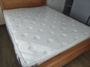海马海木天然乳胶席梦思床垫独立弹簧3E环保椰棕家用床垫子软硬两用可定制 偏软款：独立弹簧+天然乳胶  约21CM 1.5米*1.9米 实拍图