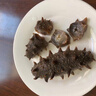 皇家麒麟 即食海参 即食大连刺参单个装辽刺参海参干货水产礼盒净含量500g 7A即食海参 31-40只/斤 一斤装 实拍图