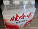 娃哈哈 纯净水596ml*12瓶 塑膜装 瓶装水饮用水 实拍图