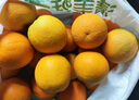 红都品冠25.3°赣南脐橙 净重10斤 铂金果 单果约180-230g 水果礼盒  实拍图