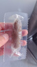 辽参大连有机冷冻海参1斤19-21只非即食京东自营旗舰店独立包装正品 实拍图