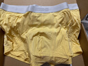 蕉内（Bananain）301P莫代尔内裤男士棉裆7A抗菌冰丝凉感透气运动四角短裤夏季3件 石南蓝+果青+岩木黄 3条 XL 实拍图
