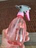 喷壶浇花浇水喷雾器气压式喷水壶家用园艺养花500ml 南瓜喷壶透粉【2个装】 实拍图