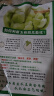 京鲜生  山东玉菇甜瓜 2粒 净重4.5-5.5斤装 单果2斤起  源头直发包邮 实拍图