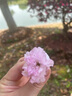 简爱酸奶父爱配方儿童酸奶0蔗糖果蔬泥无添加剂 低温酸奶宝宝儿童零食 0%原味100g*10袋 实拍图