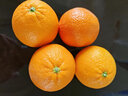 囍成双美国新奇士橙黑标3107脐橙大果sunkist进口橙子美橙水果整箱送礼 精品5斤【礼盒装】 实拍图