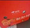 【整箱】四川耙耙柑整箱2.5kg 实拍图