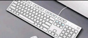 戴尔(DELL)KB216 有线键盘 办公键盘 全尺寸键盘  USB接口 白色 实拍图