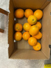 京鲜生 江西赣南脐橙 净重8斤装 单果200g+ 生鲜水果 源头直发包邮 实拍图